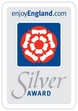 silver award